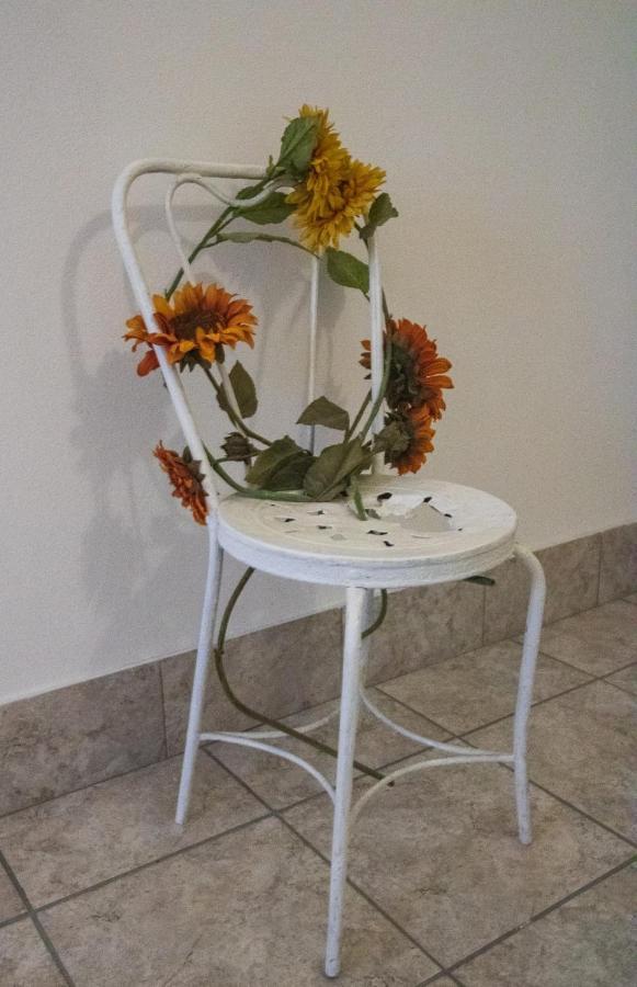 Appartamento Stella Lezzeno Buitenkant foto